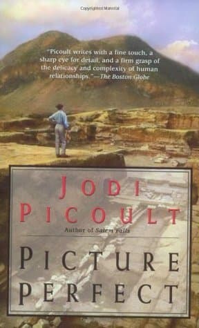 Picture Perfect book cover