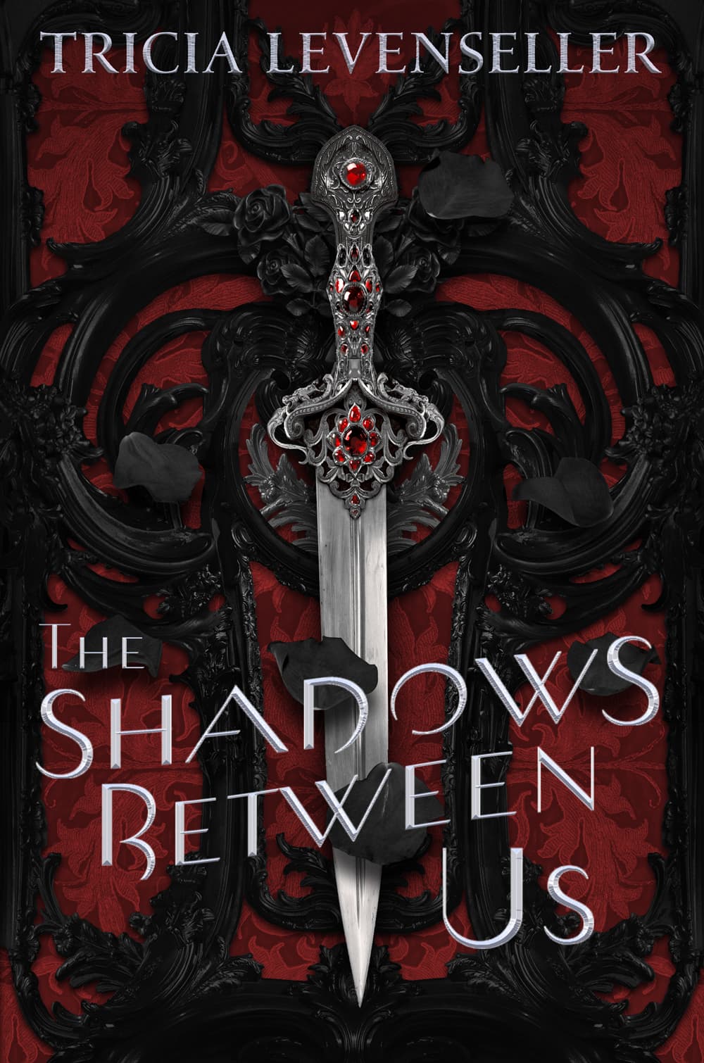 The Shadows Between Us book cover