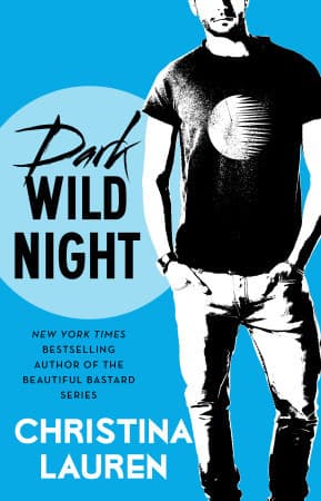 Dark Wild Night book cover