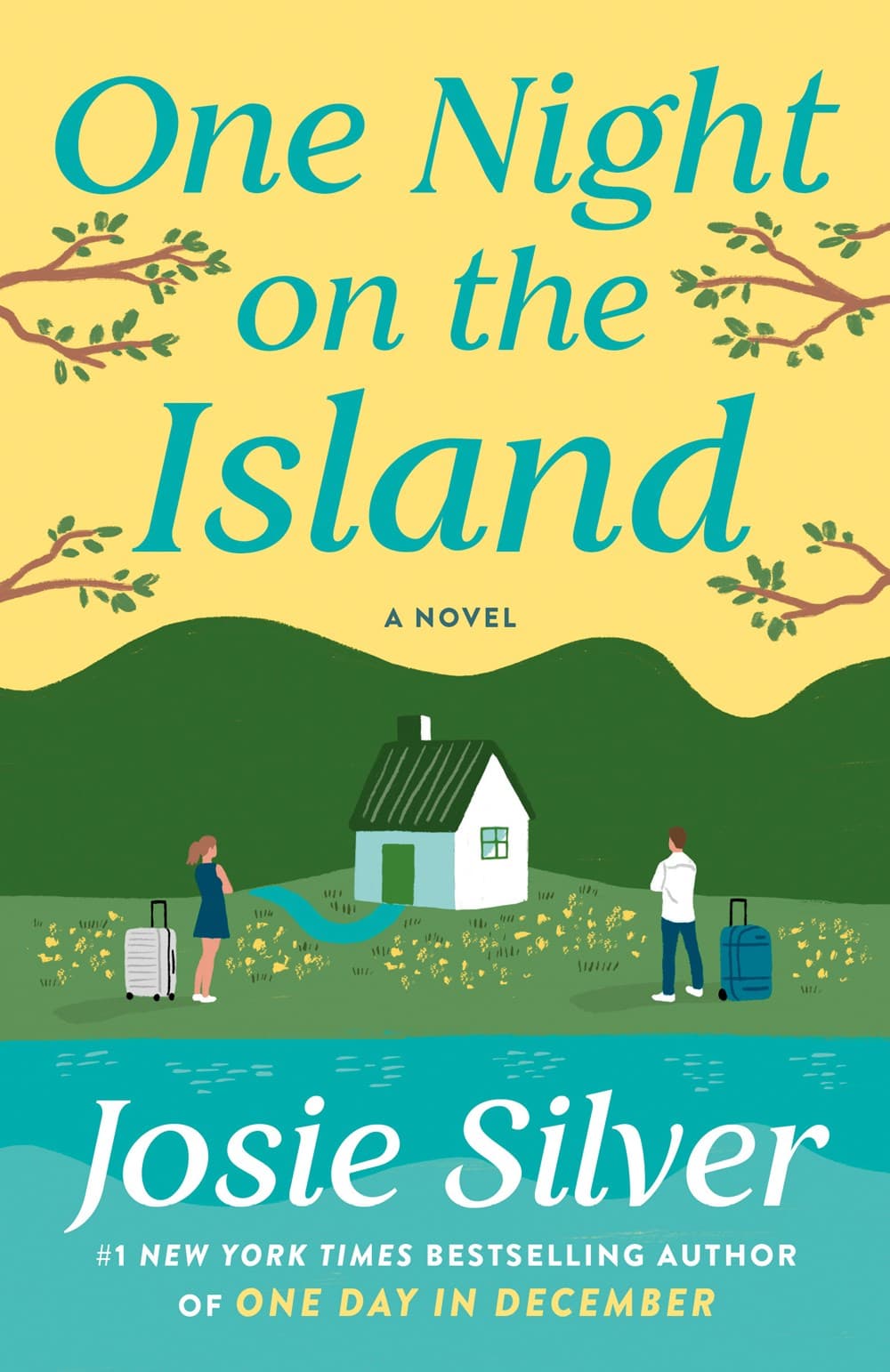 One Night on the Island book cover