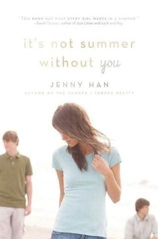 It's Not Summer Without You book cover