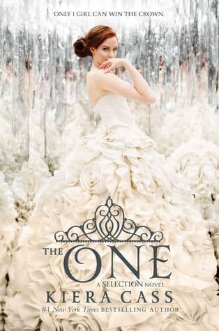 The One book cover