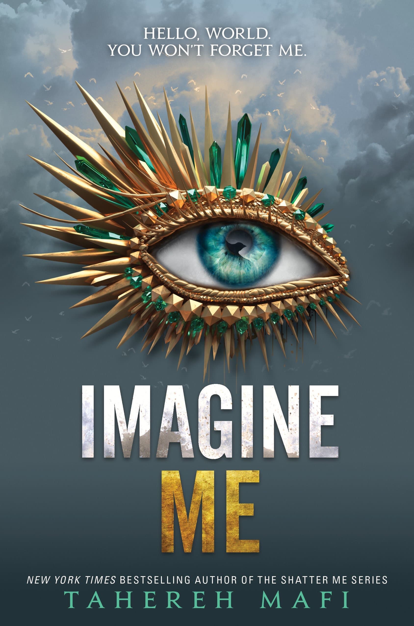 Imagine Me book cover