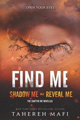 Find Me book cover