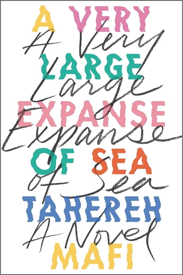 A Very Large Expanse of Sea book cover