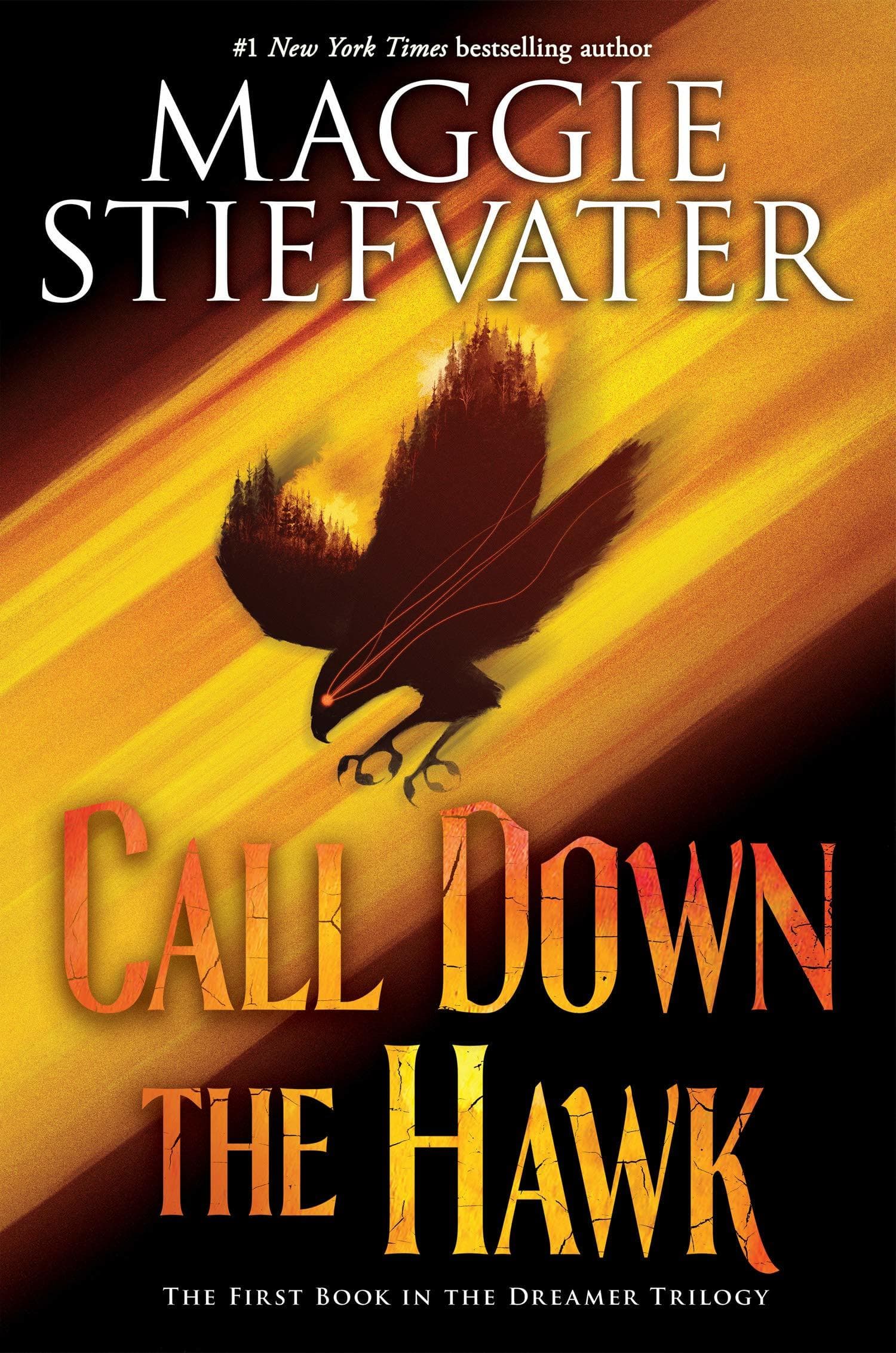 Call Down the Hawk book cover