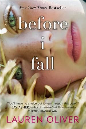 Before I Fall book cover