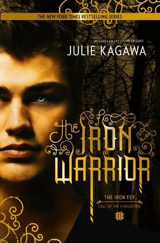 The Iron Warrior book cover