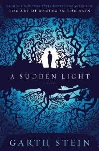 A Sudden Light book cover