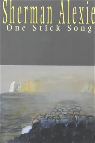 One Stick Song book cover