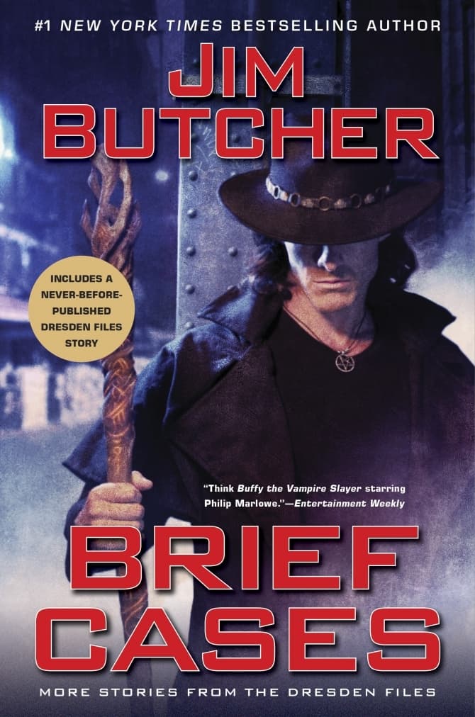 Brief Cases book cover