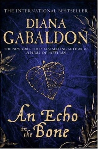 An Echo in the Bone book cover