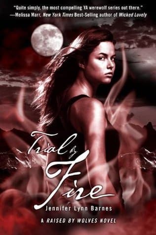 Trial by Fire book cover