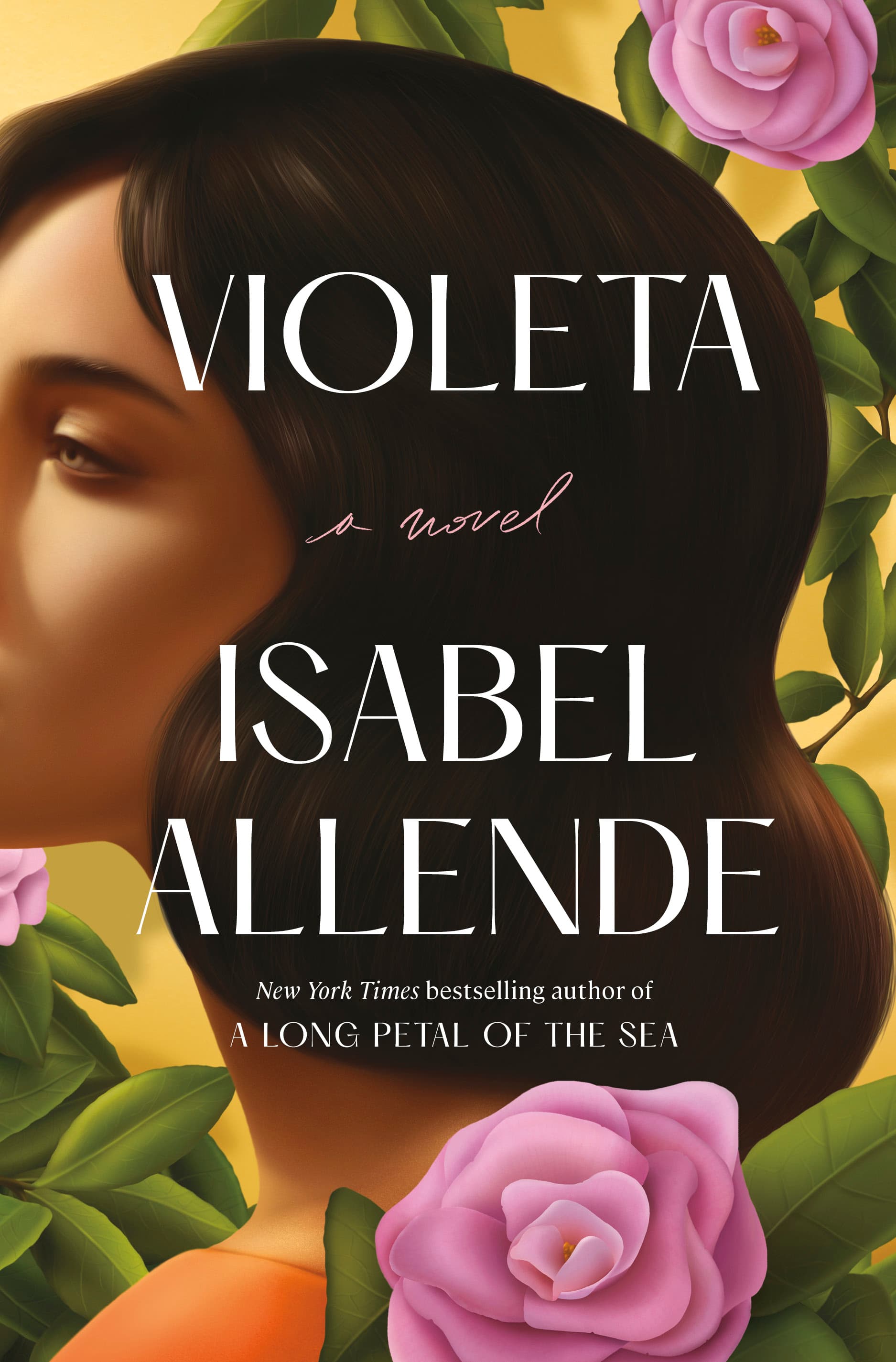 Violeta book cover