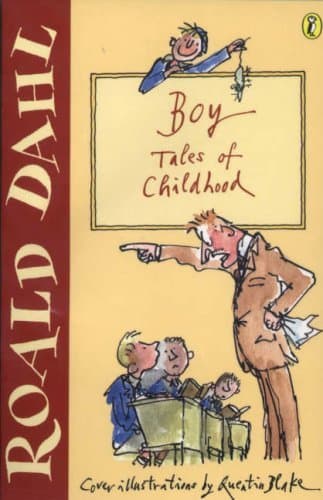 Boy: Tales of Childhood book cover