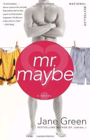 Mr. Maybe book cover