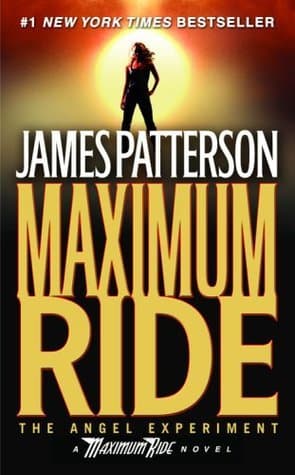 The Angel Experiment book cover