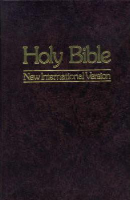 Holy Bible: New International Version book cover