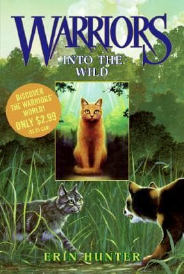 Into the Wild book cover