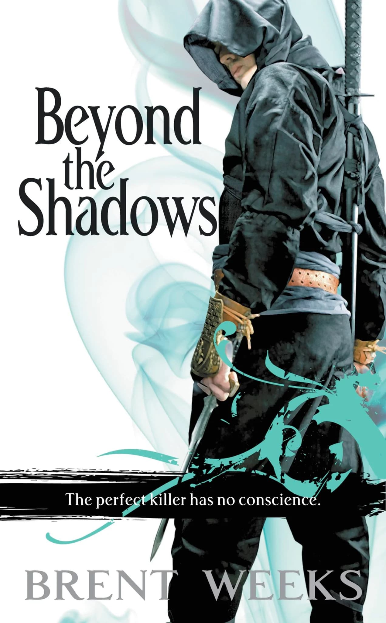 Beyond the Shadows book cover