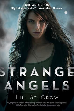 Series Book Cover Preview