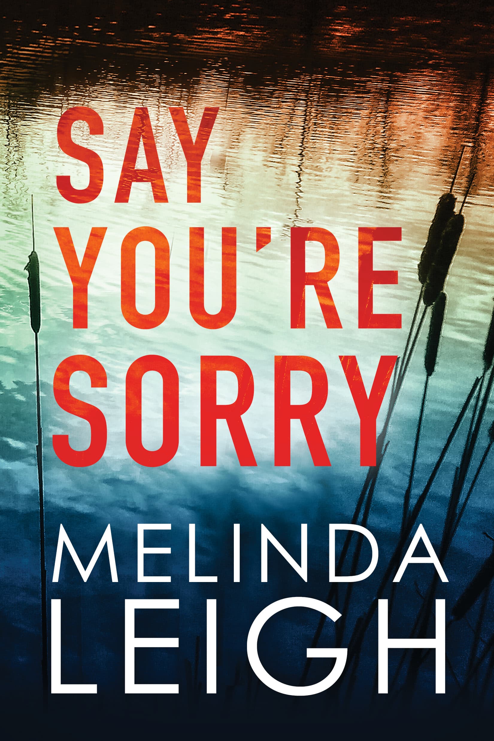 Say You're Sorry book cover