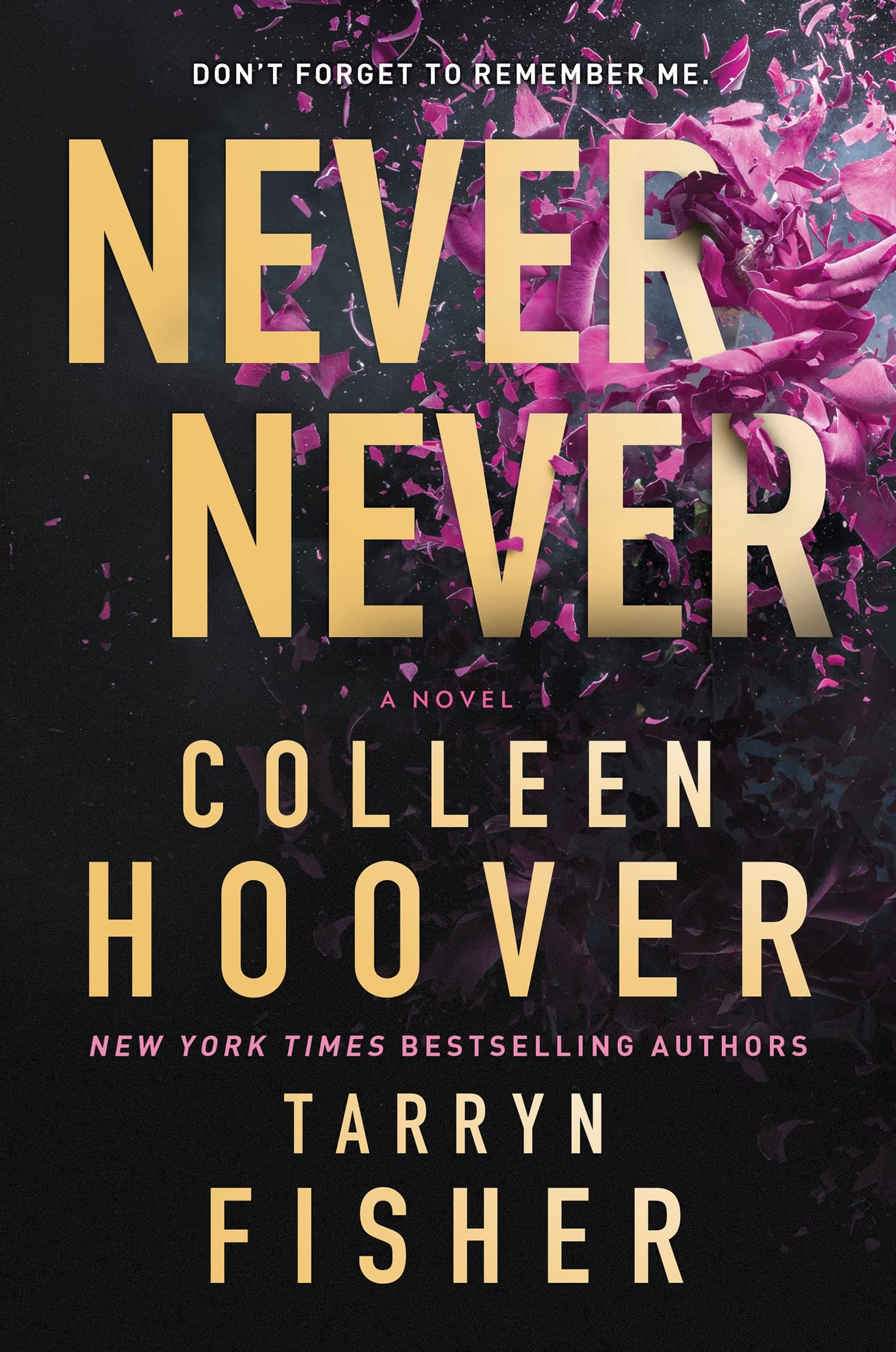 Never Never book cover