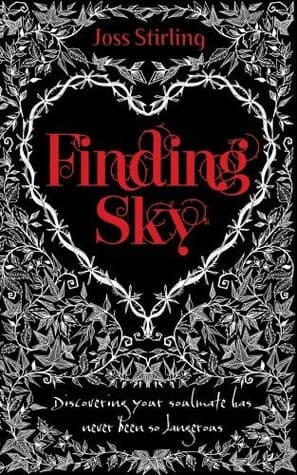 Finding Sky book cover