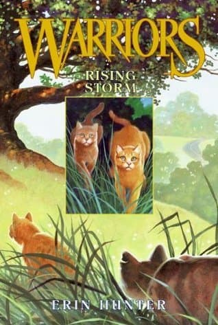 Rising Storm book cover