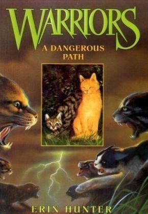 A Dangerous Path book cover