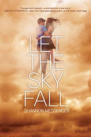 Let the Sky Fall book cover