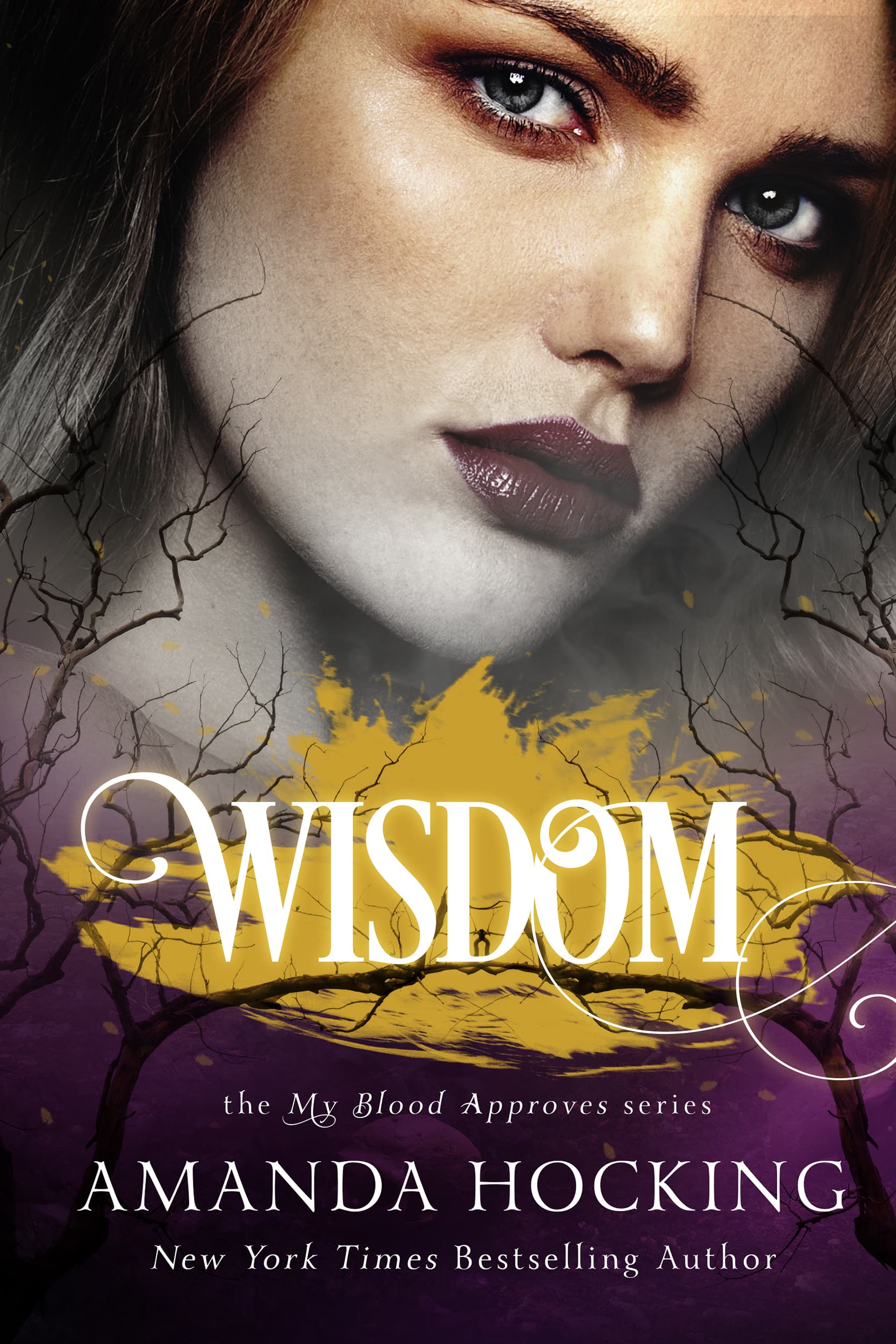 Wisdom book cover