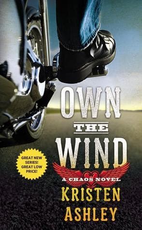 Own the Wind book cover