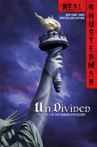 UnDivided book cover