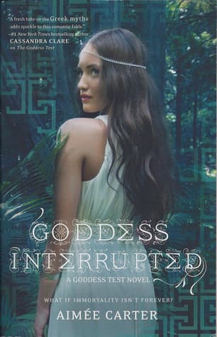 Goddess Interrupted book cover