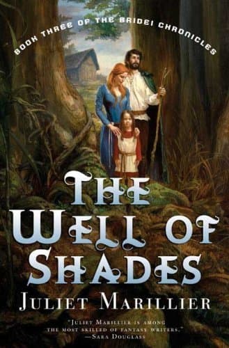 The Well of Shades book cover