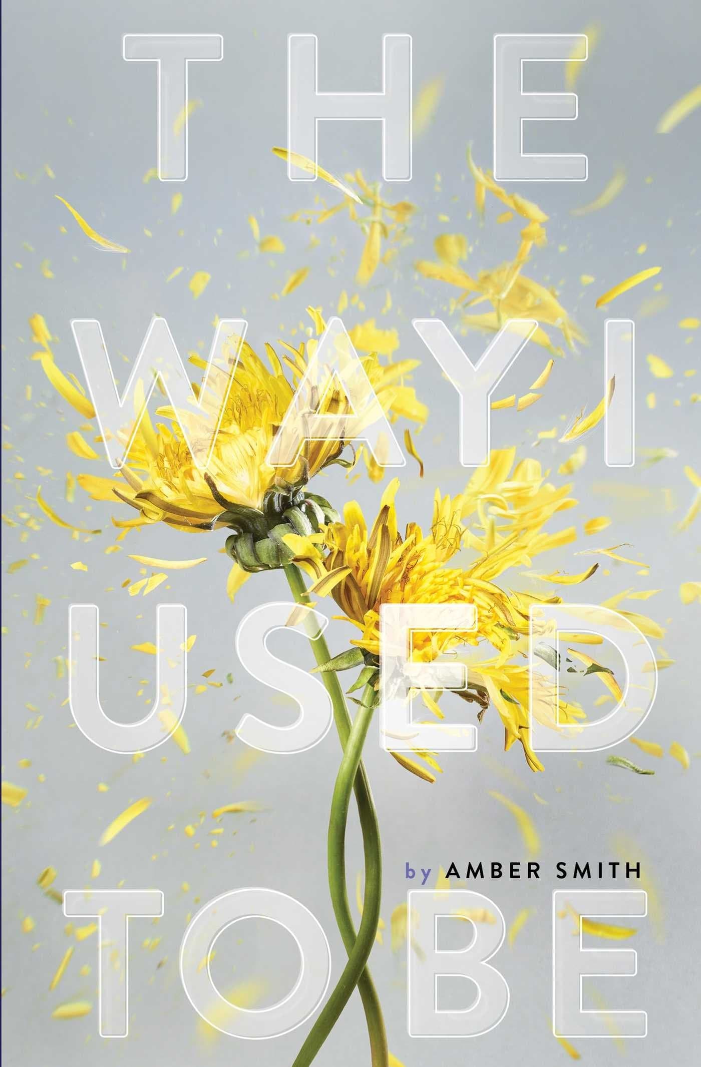 The Way I Used to Be book cover