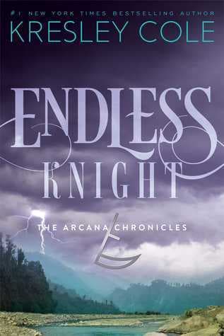 Endless Knight book cover