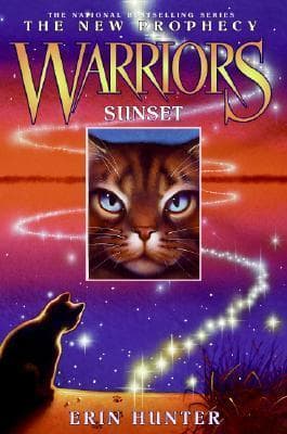 Sunset book cover