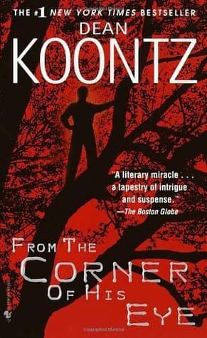 From the Corner of His Eye book cover