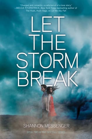 Let the Storm Break book cover