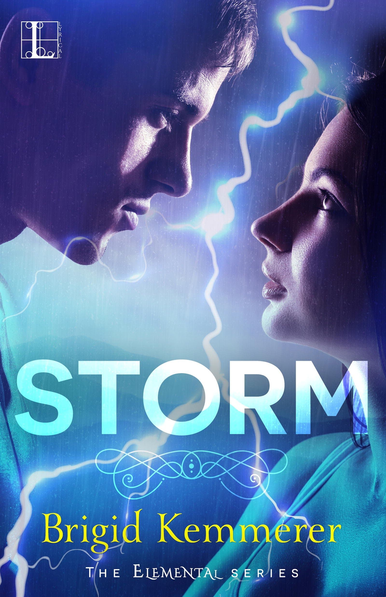 Storm book cover