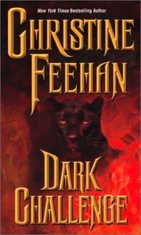 Dark Challenge book cover