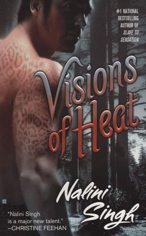 Visions of Heat book cover