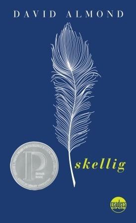 Skellig book cover