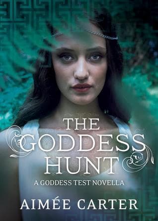 The Goddess Hunt book cover