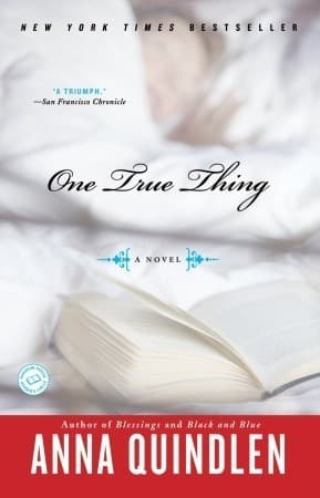 One True Thing book cover