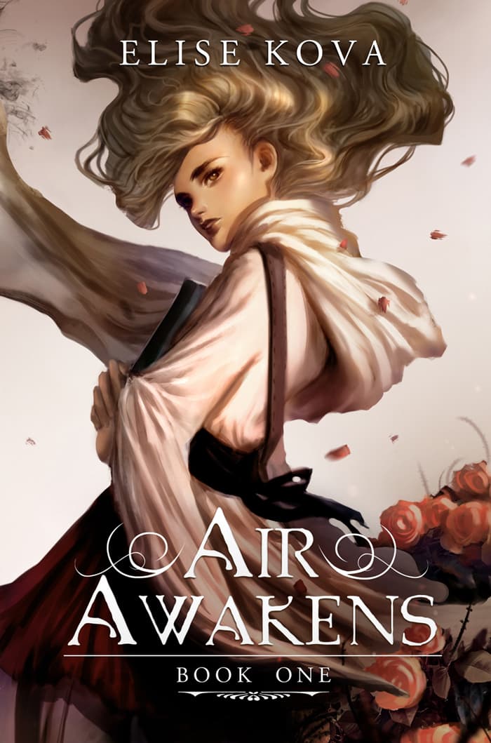 Air Awakens book cover