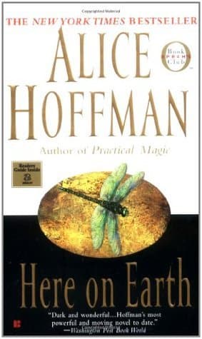 Here on Earth book cover