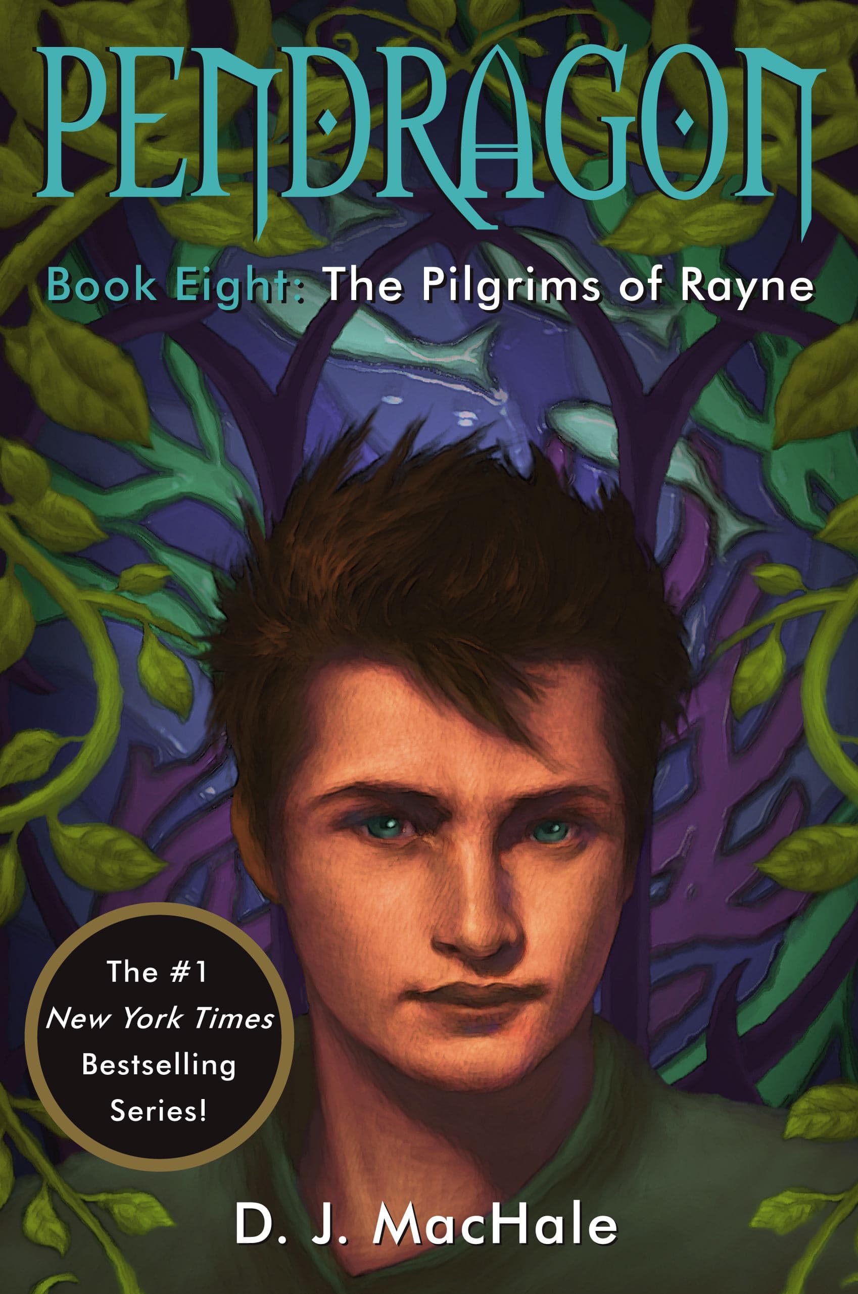 The Pilgrims of Rayne book cover